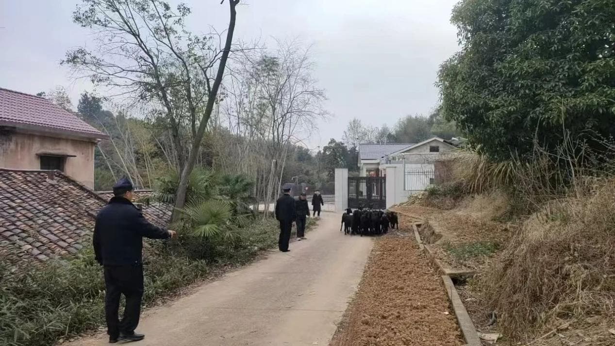 湖南湘潭：民警无人机上演科技版“寻羊记”