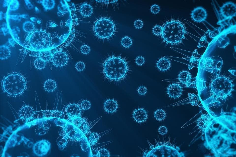 甲流进入高发期，专家详解症状识别与科学防治