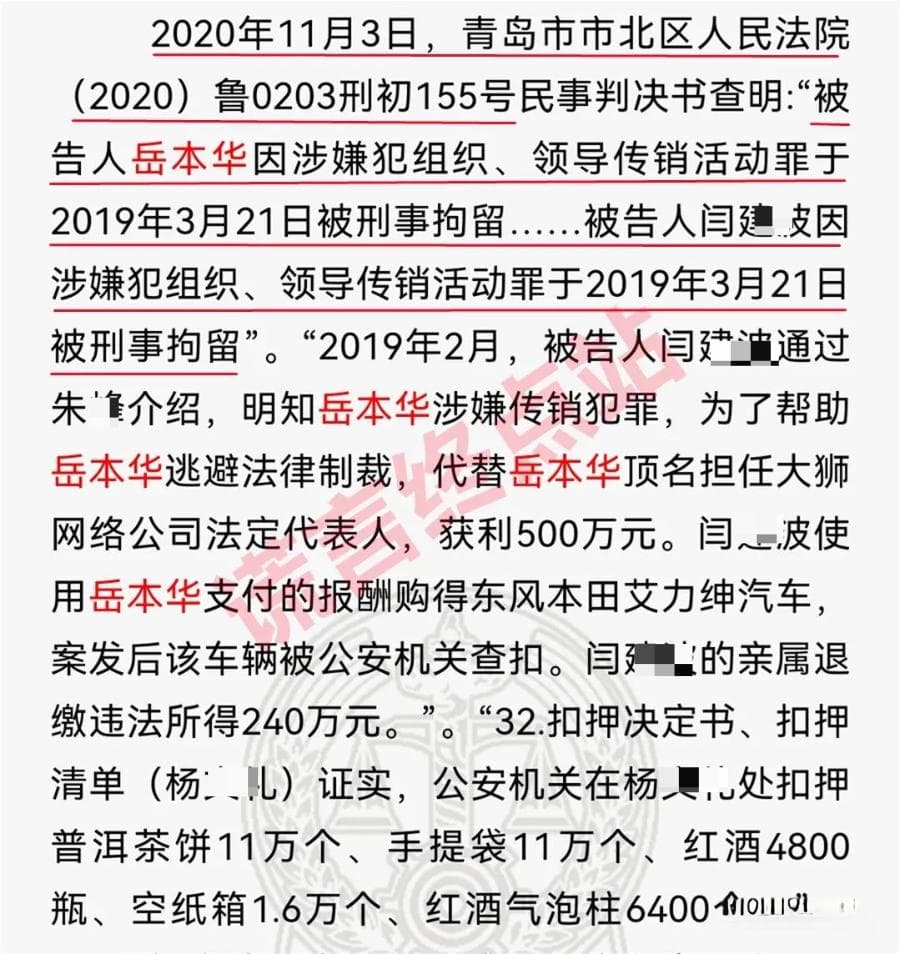 青岛大狮网络科技有限公司营业执照被吊销，涉案人员获刑十二年