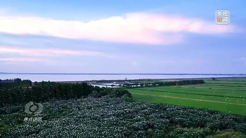 湖南大通湖：系统治理实现水质蜕变，打造生态修复新样本