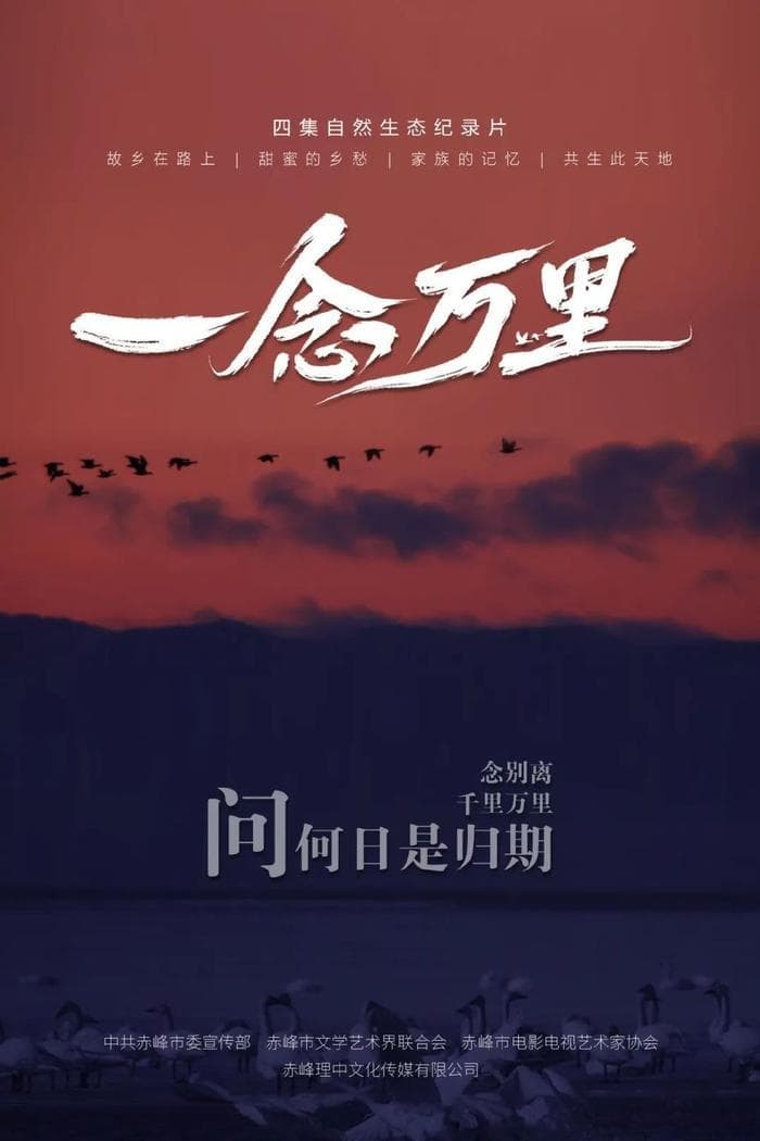 天鹅的迁徙之路 ——《一念万里》