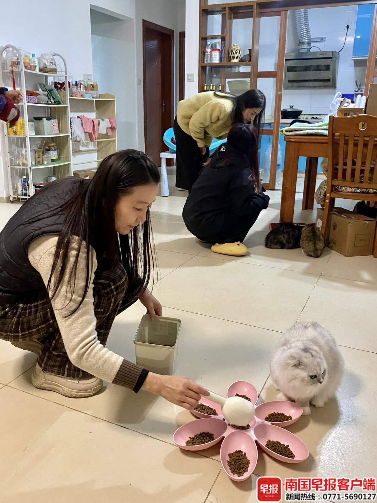南宁夫妇自费近10万元为流浪猫打造爱心猫舍 救助上百只流浪猫