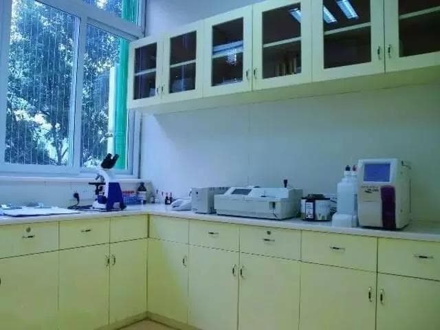 寄养形式哪种最好？三大寄养方式的优劣