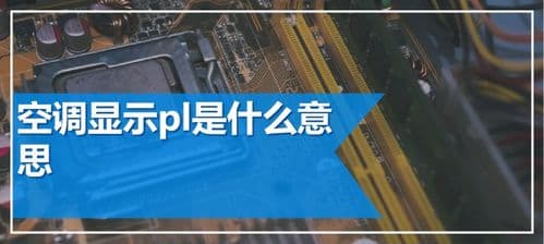 揭秘"pl"的真正含义！