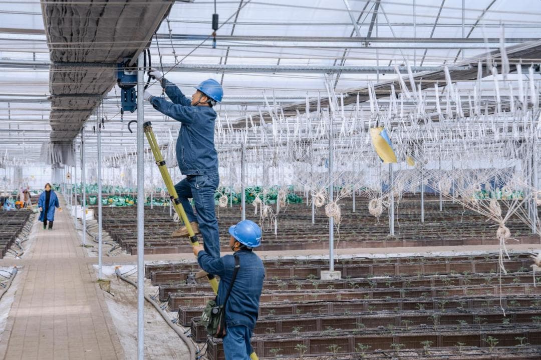 万象“耕”新电力充足