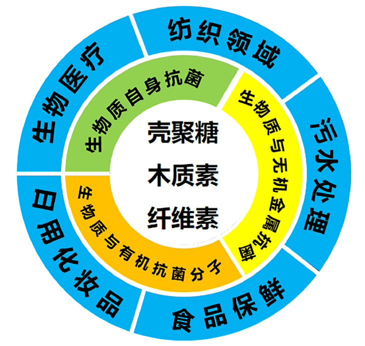 生物质基抗菌材料制备及其应用进展