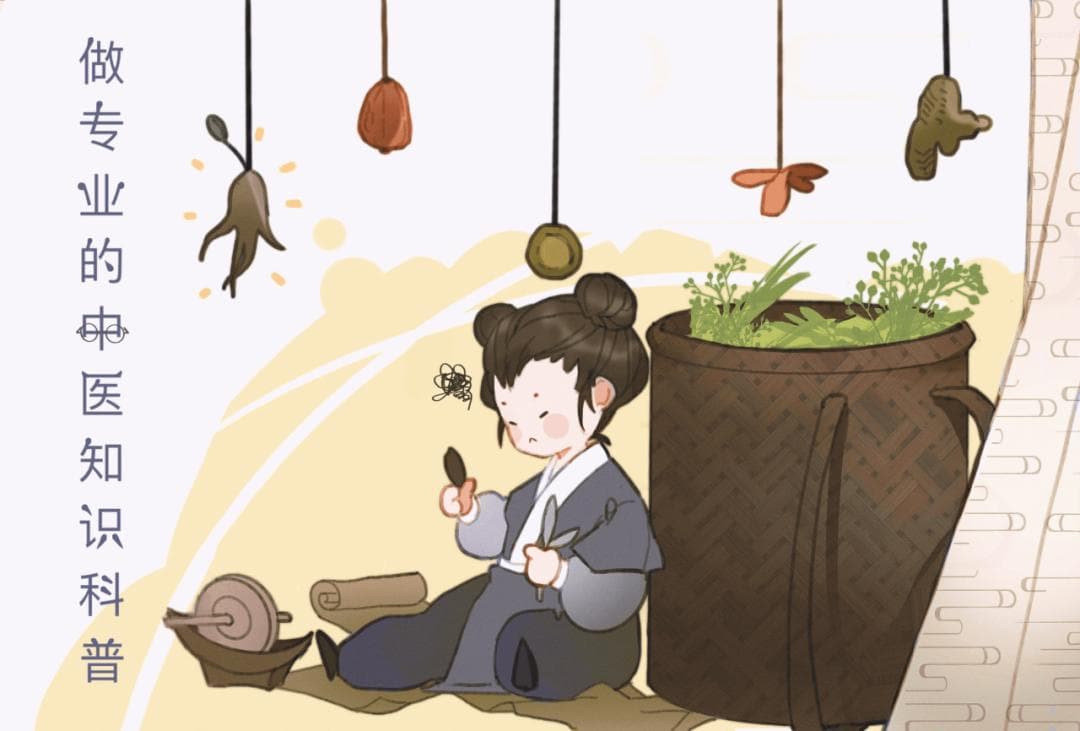 中国茶与中医药的碰撞