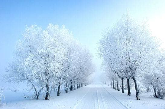 探秘吉林雾凇：邂逅冰雪世界的梦幻奇景