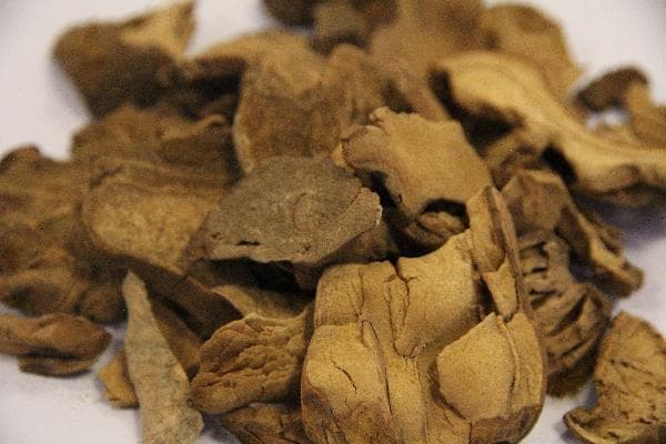 中药治肝病：柴胡、丹参、茵陈如何帮你恢复肝功能？专家揭秘！