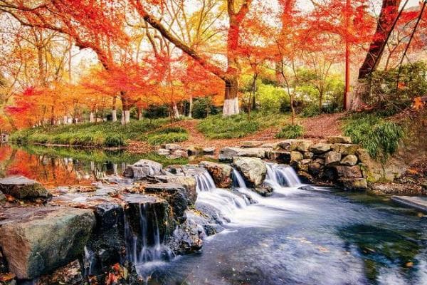 九溪十八涧游玩攻略：最佳路线与季节推荐