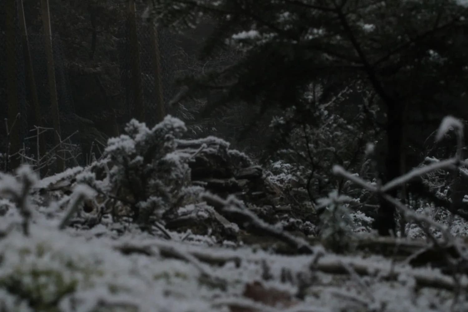《白雪公主》和《食罪者》教你写爆红章节！