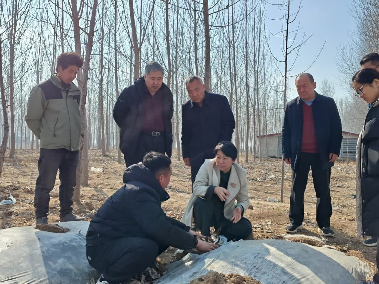 河南省发布“粮-菇定区轮作”大球盖菇春季管理要点