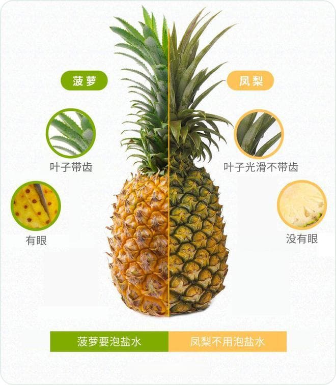 凤梨和菠萝，你分得清吗？看完这篇别再买错啦