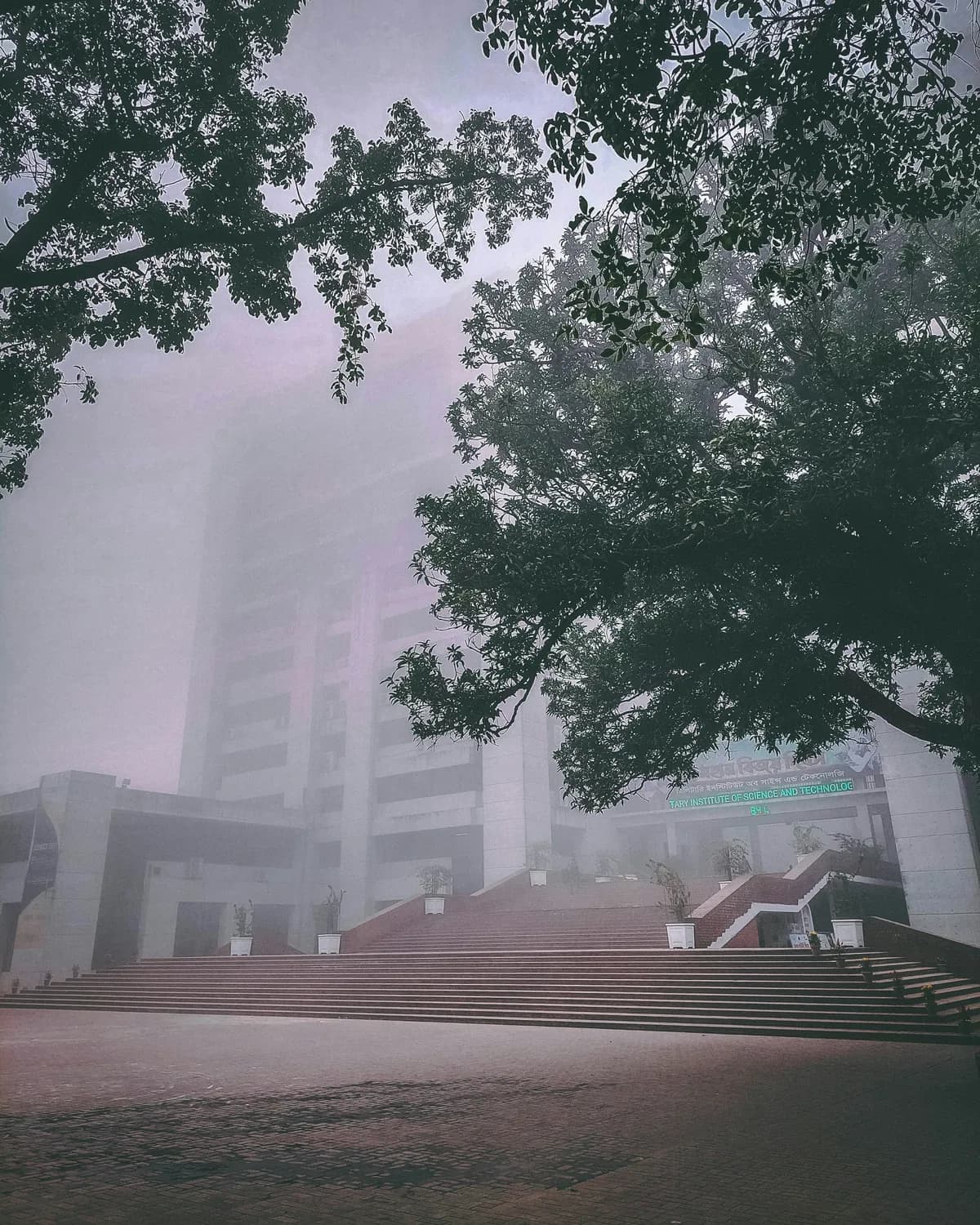 宜宾发布大雾黄色预警！水上交通受影响，公路铁路最新情况
