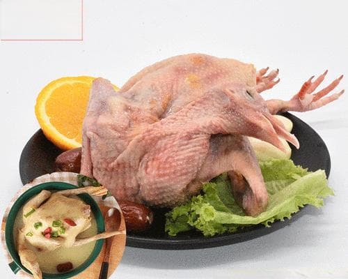 白王鸽的饲养方法（做好营养、卫生和环境，让白王鸽健康成长）