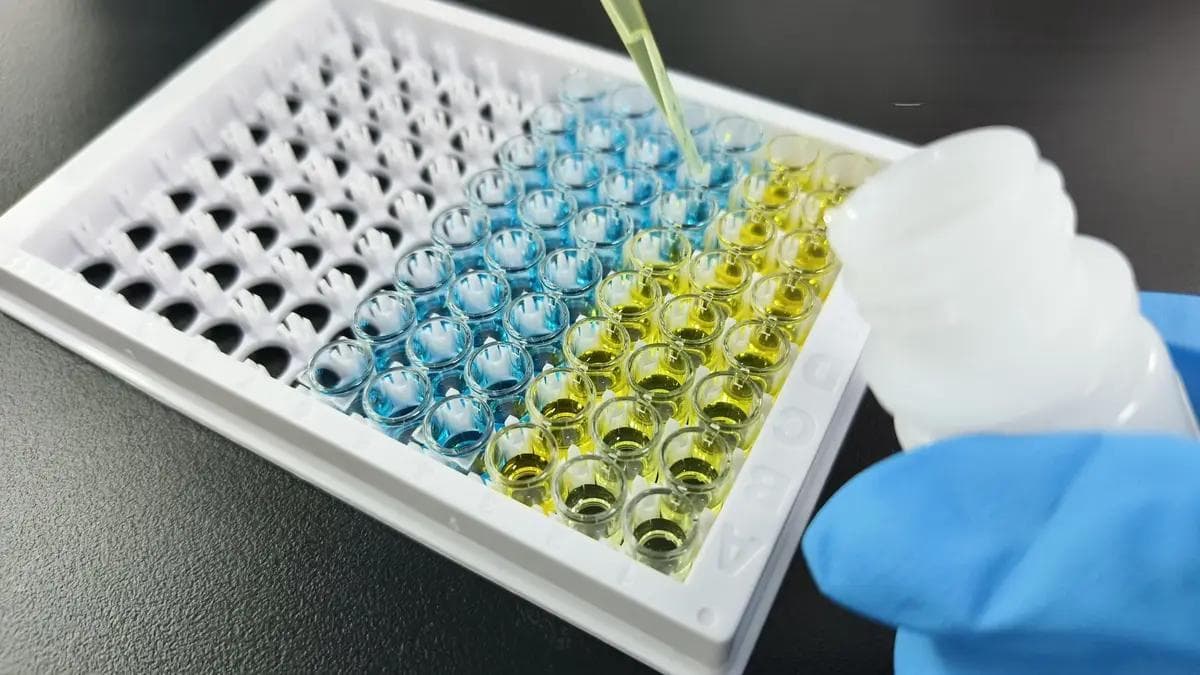 人血管内皮因子（VEGF）试剂盒使用指南