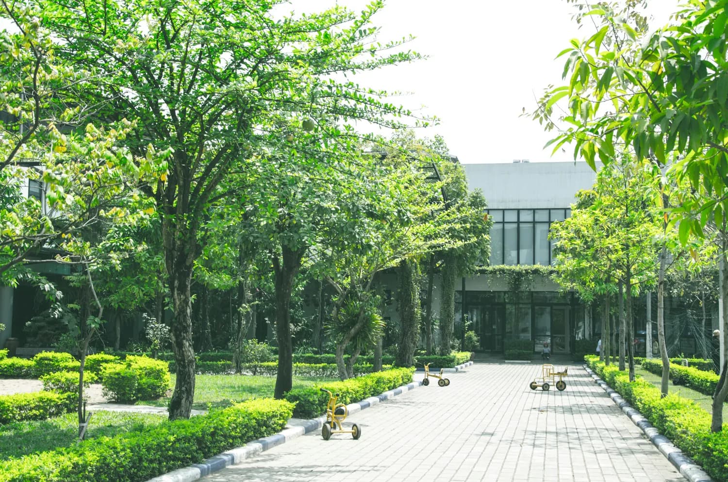 成都七中2024高考成绩亮眼！各校区升学率数据分析