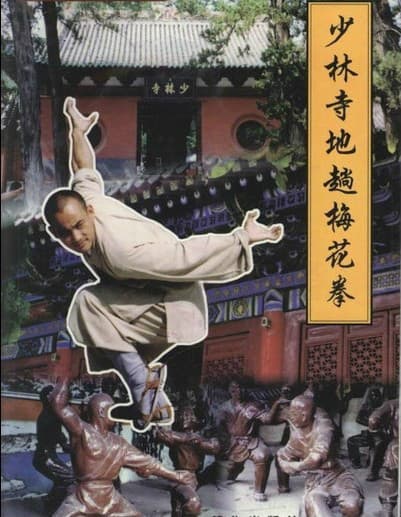河北平乡县河古庙村东岳天齐庙的历史渊源