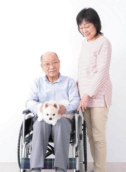 宠物疗愈的神奇力量