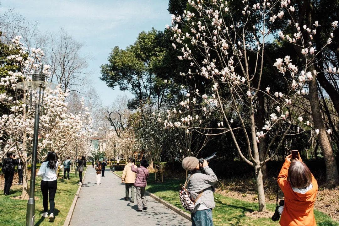 春日赏花何处去？上海徐汇赏花指南帮你划重点
