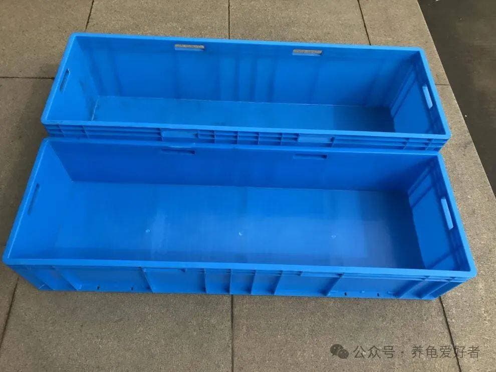 超实用生态缸教程，三分钟教会你，不信你还不会