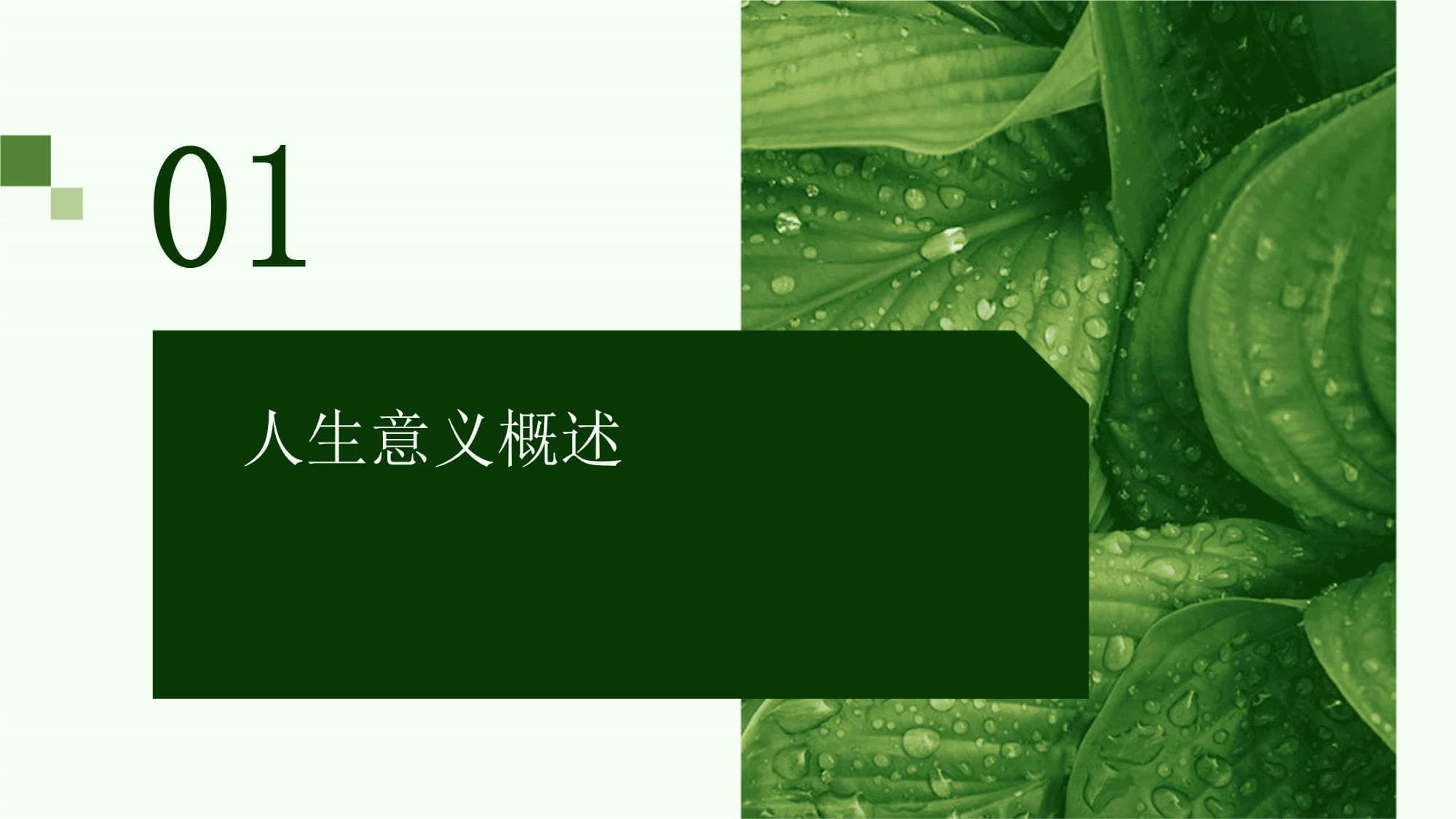 探索人生的意义主题班会