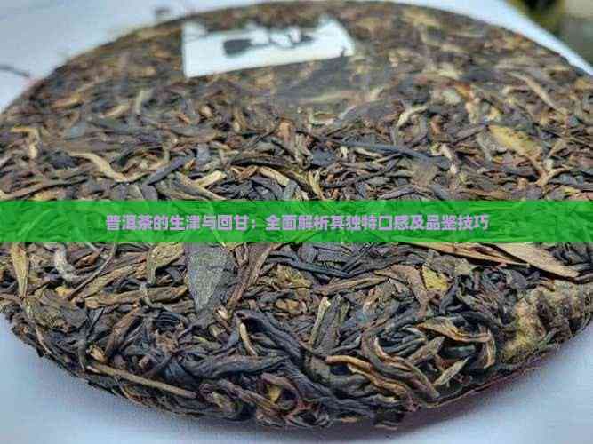 普洱茶的生津与回甘：全面解析其独特口感及品鉴技巧
