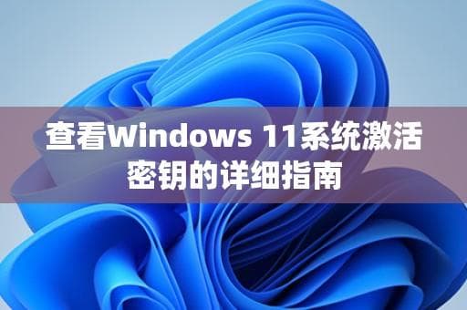 Windows 11系统激活密钥查看指南