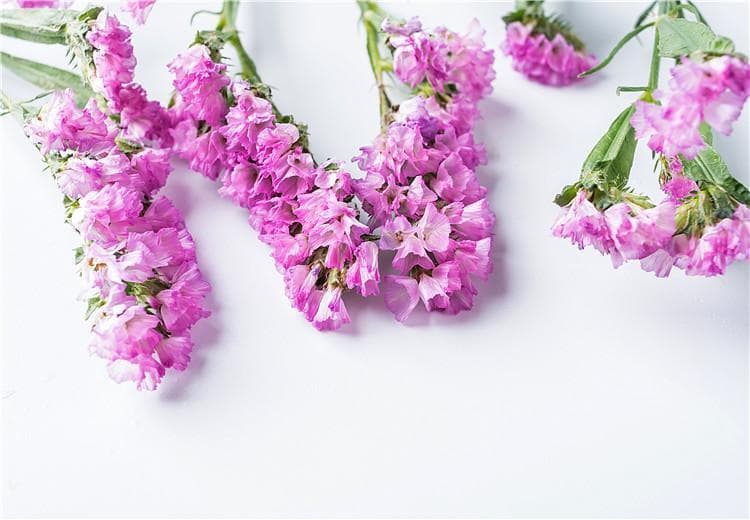 干花，永生花和仿真花分别有啥优缺点？