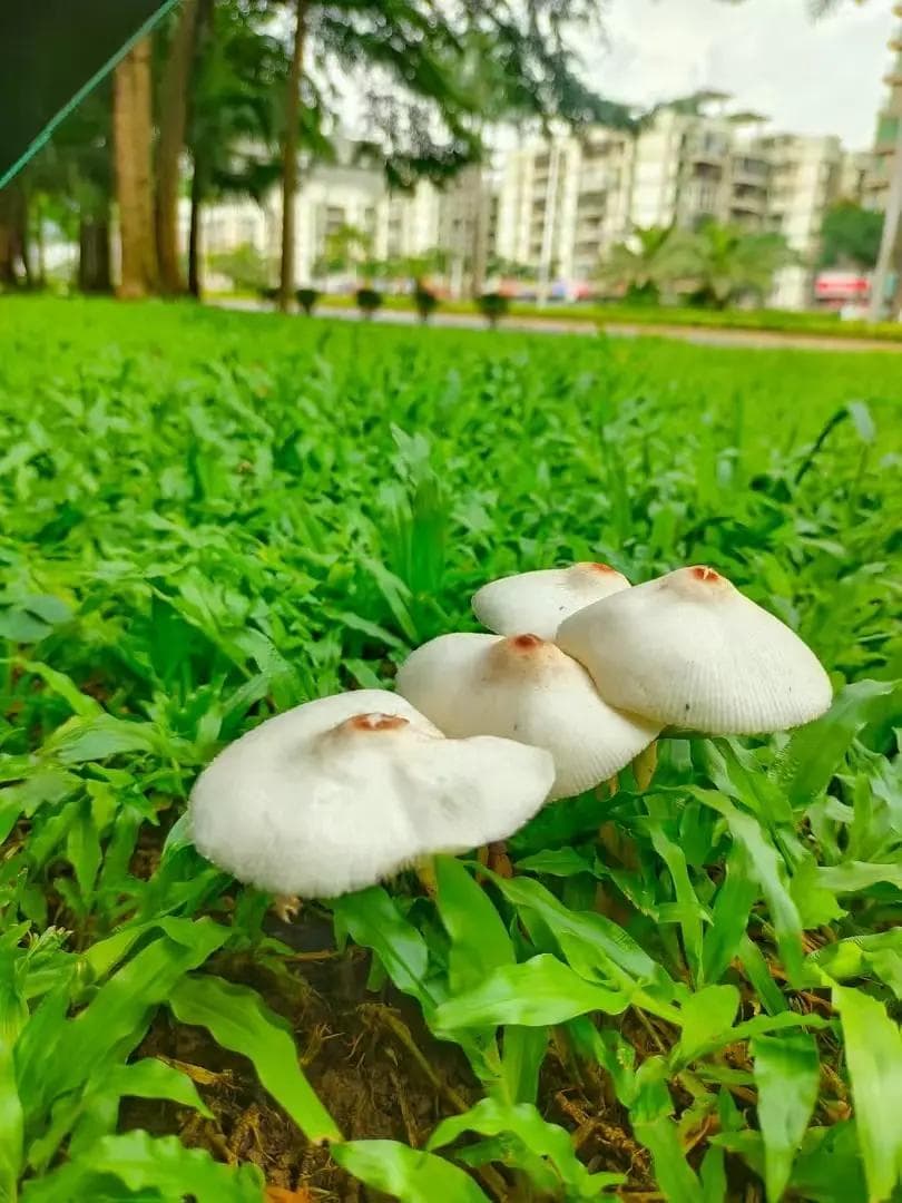 打工人必看！遭遇工资克扣，这7条法律知识助你维权