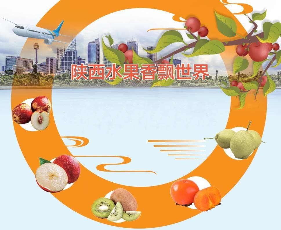 陕西水果香飘世界