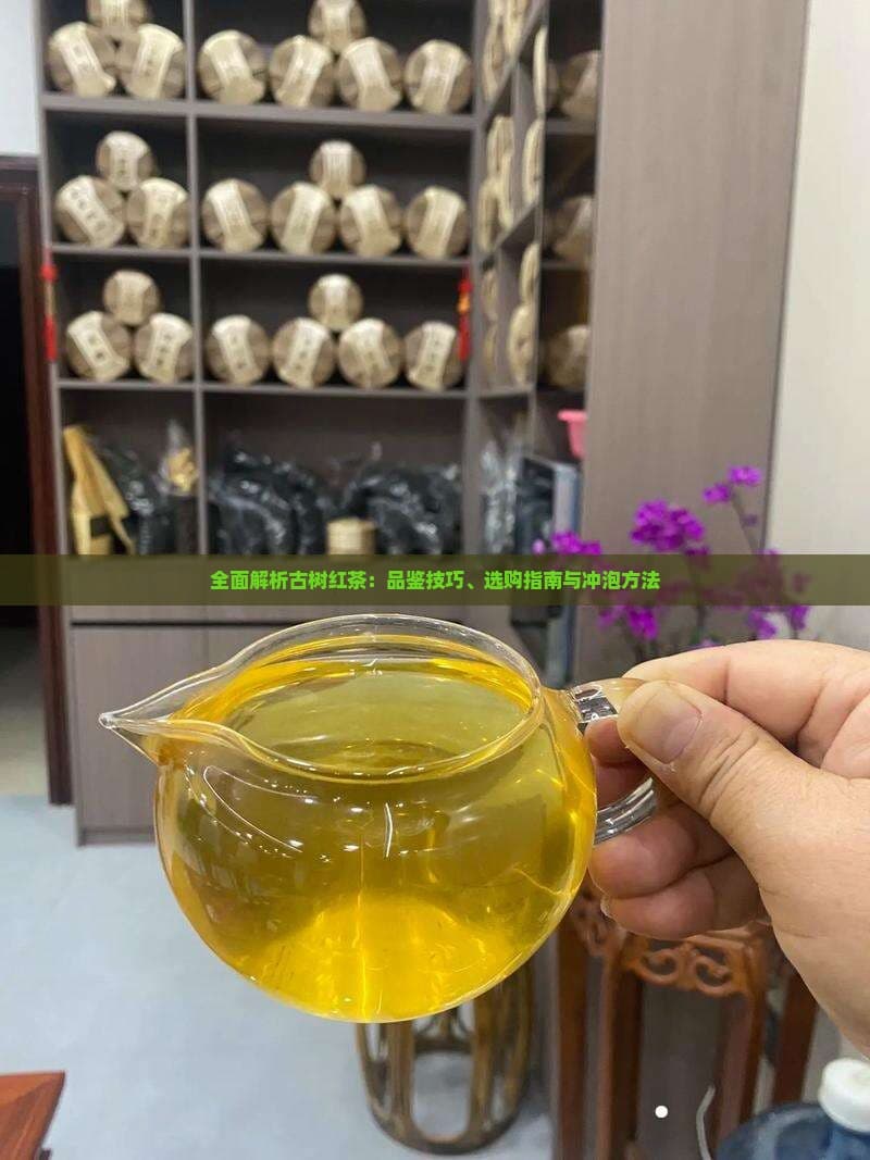 全面解析古树红茶：品鉴技巧、选购指南与冲泡方法