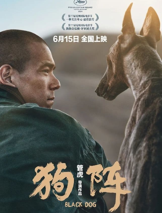 彭于晏新作：一场关于救赎与陪伴的西北小镇之旅