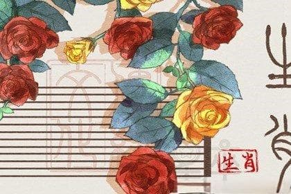 属牛和属龙的婚配：性格互补还是矛盾重重？