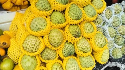 孕妇能吃释迦果吗