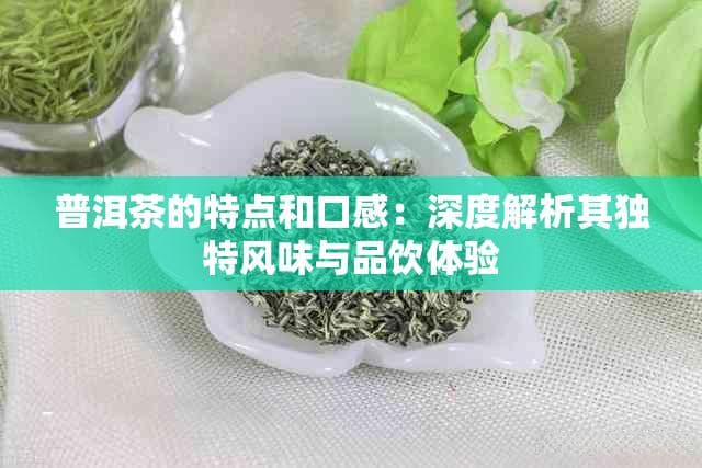 普洱茶的特点和口感：深度解析其独特风味与品饮体验