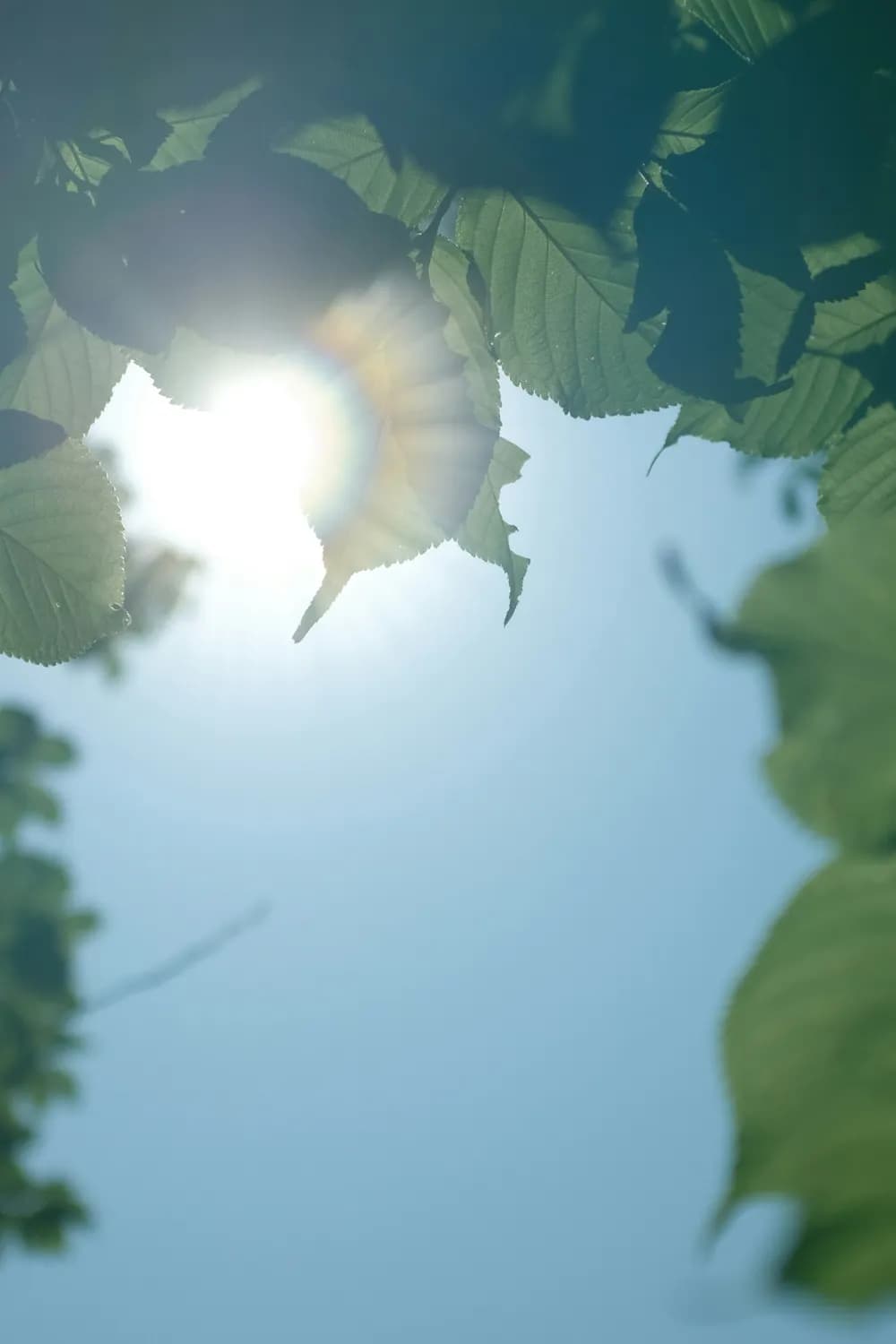 夏至来了！热伤风和中暑的预防与养生指南