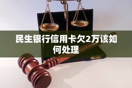 民生银行信用卡欠2万该如何处理