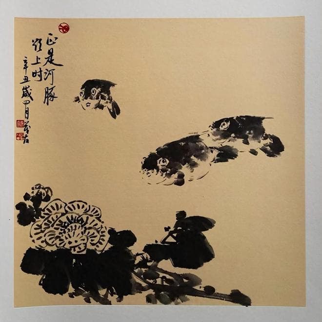 河豚以剧毒闻名，其实竟不产毒素！神秘河鲀毒素，到底从何而来？