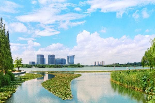 苏州张家港暨阳湖：AAAA级景区免费开放，2023赏花季开启