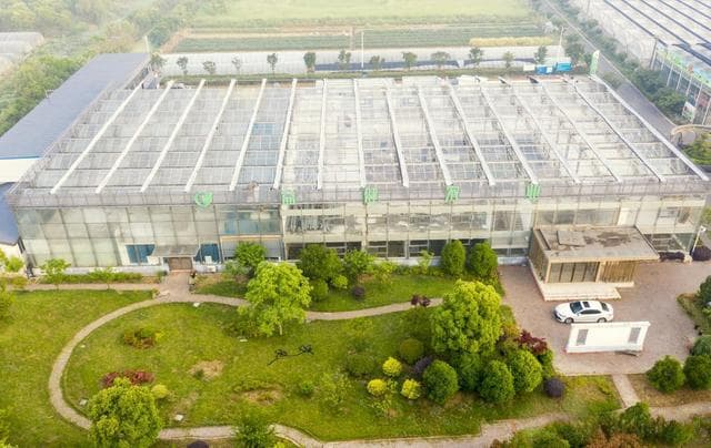 宜兴市周铁镇：党建引领蔬果产业链发展，奏出乡村振兴最强音