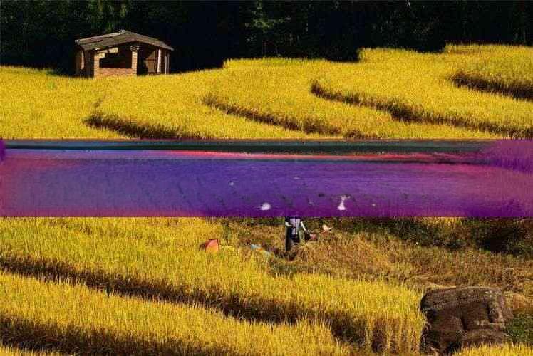 广元至西双版纳精品旅游路线攻略