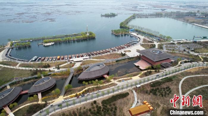 从白洋淀芦苇“平衡收割”解码雄安生态治理路径