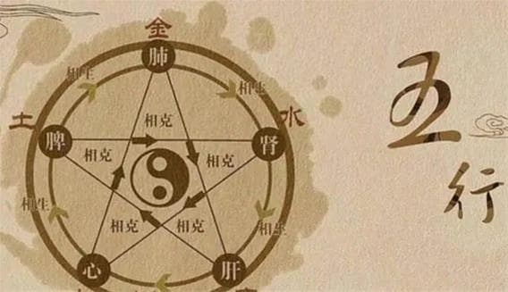 五行补救之道：如何补木？生活中补木的一些方法