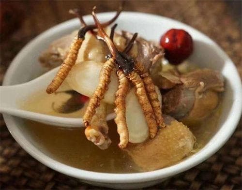 冬虫夏草当归炖牛肉：一道养生佳肴的制作与功效