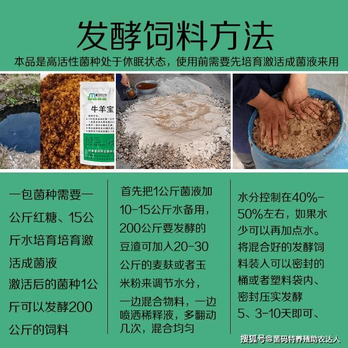 用菜籽饼来喂牛 不脱毒处理你可不能直接喂哦