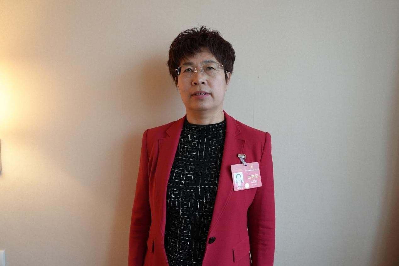 劉宏艷代表：把青少年心理健康教育落在實處