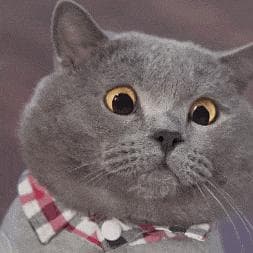 能让猫咪腹泻的贾第鞭毛虫，到底是怎么传播的？