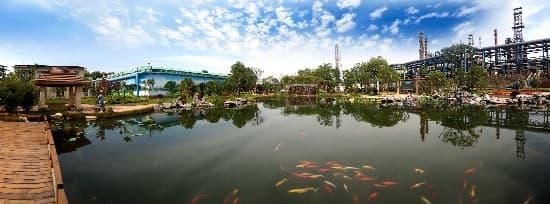 探访九江石化：打造绿色智能的“无废工厂”