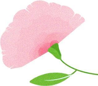春分 | 正是一年最美时